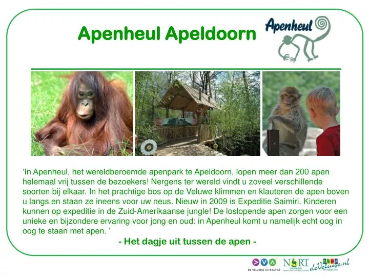 apenheul apeldoorn