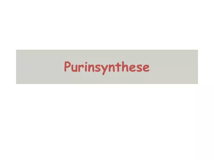 purinsynthese