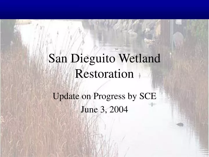 san dieguito wetland restoration