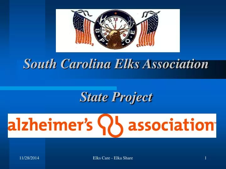 south carolina elks association state project