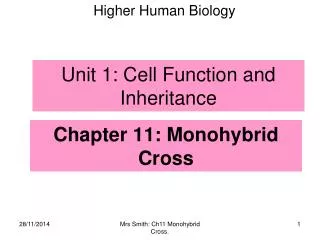Chapter 11: Monohybrid Cross