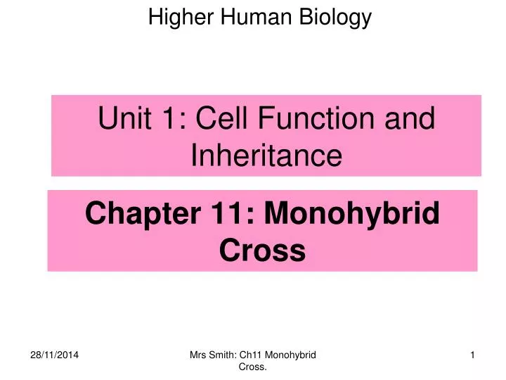 chapter 11 monohybrid cross
