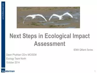 Next Steps in Ecological Impact Assessment