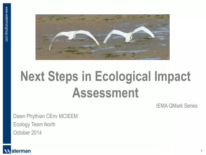 next steps in ecological impact assessment