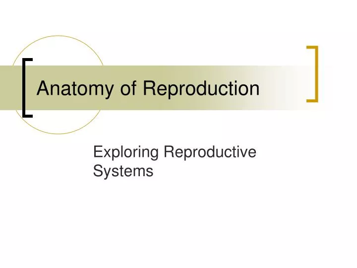 anatomy of reproduction