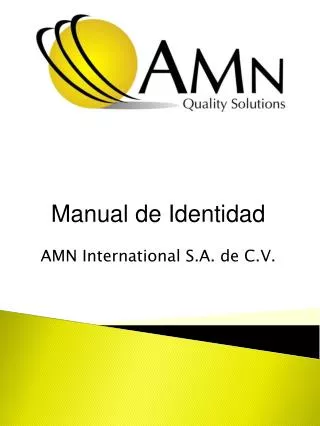 Manual de Identidad AMN International S.A. de C.V.