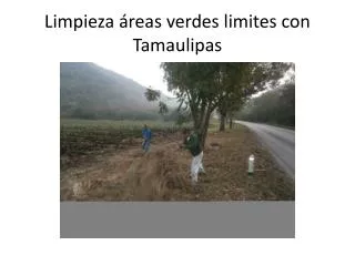 Limpieza áreas verdes limites con Tamaulipas