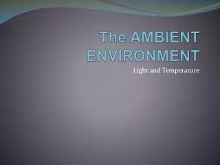 The AMBIENT ENVIRONMENT