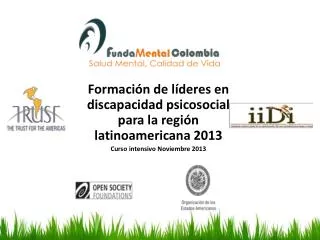 Formación de líderes en discapacidad psicosocial para la región latinoamericana 2013