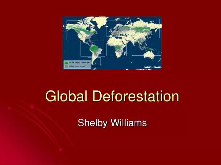 global deforestation