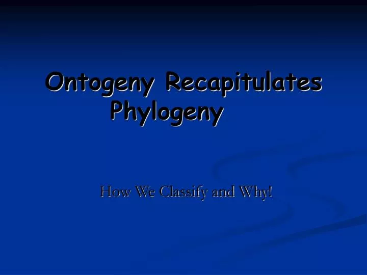 ontogeny recapitulates phylogeny