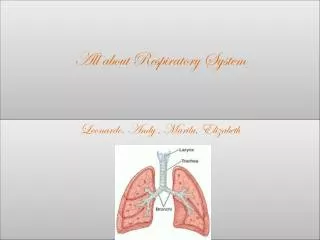 All about Respiratory System