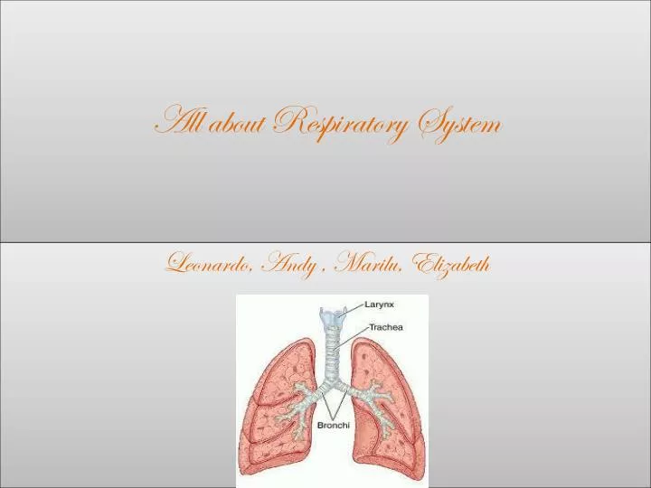 all about respiratory system