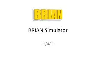 BRIAN Simulator