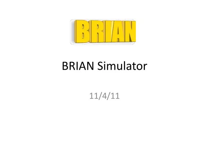brian simulator