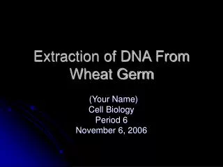 Extraction of DNA From Wheat Germ