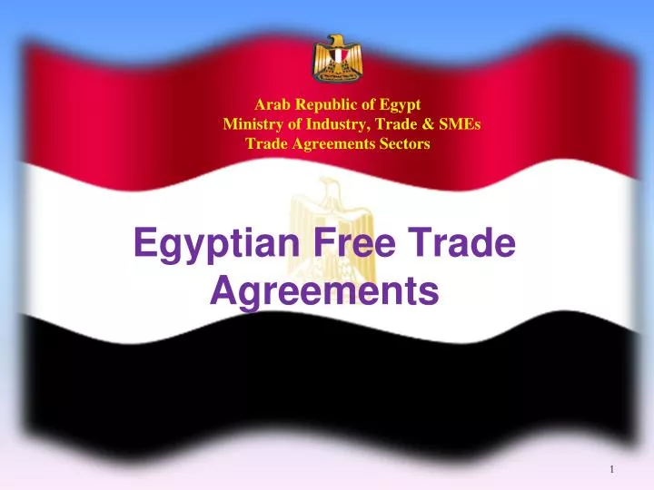 arab republic of egypt ministry of industry trade smes trade agreements sectors