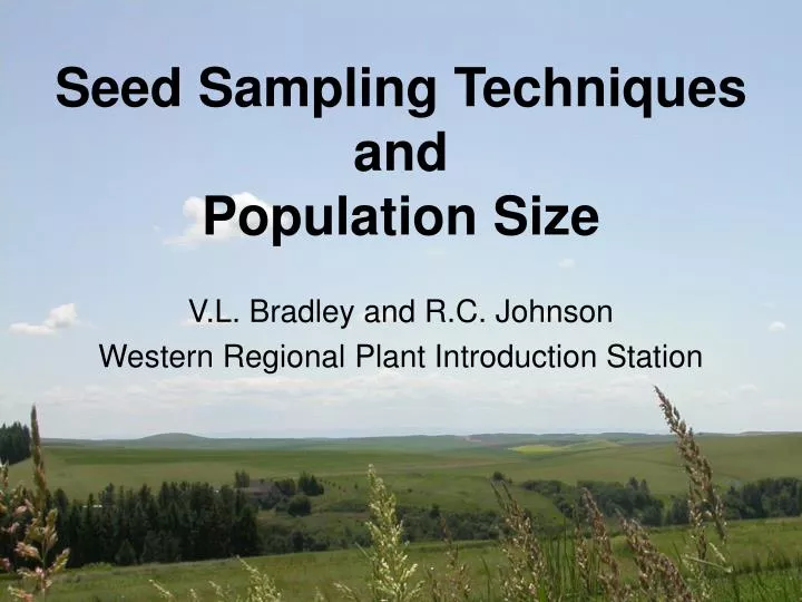 seed sampling techniques and population size