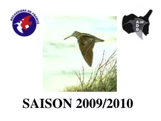 SAISON 2009/2010