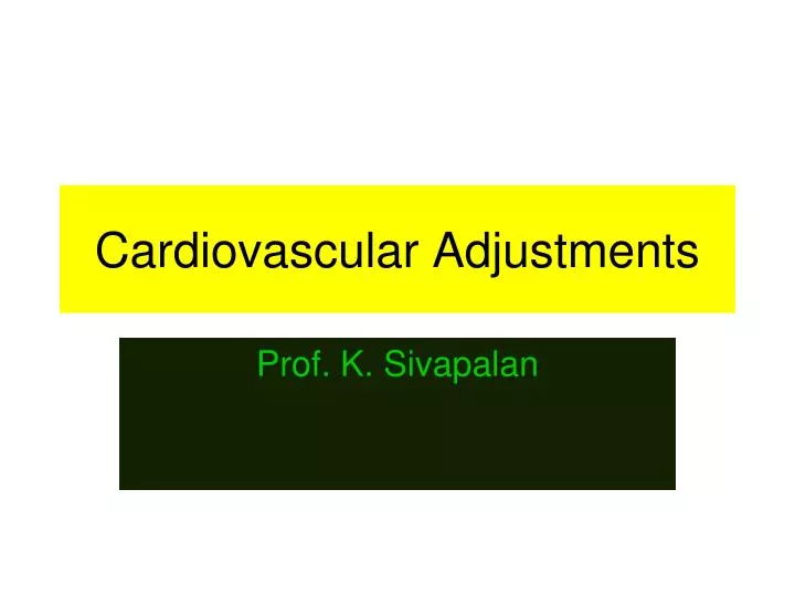 cardiovascular adjustments