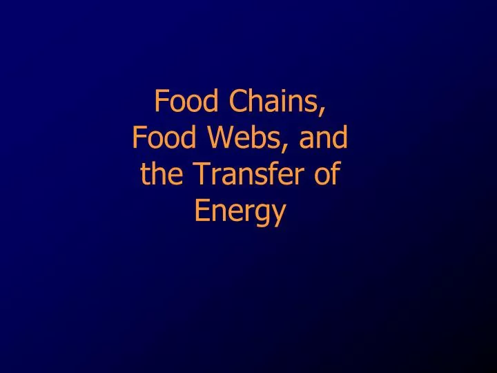 food chains food webs and the transfer of energy