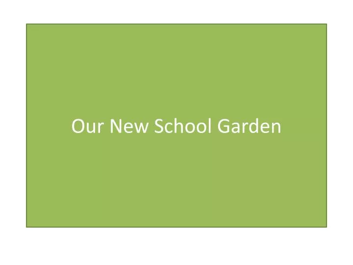 our new school garden