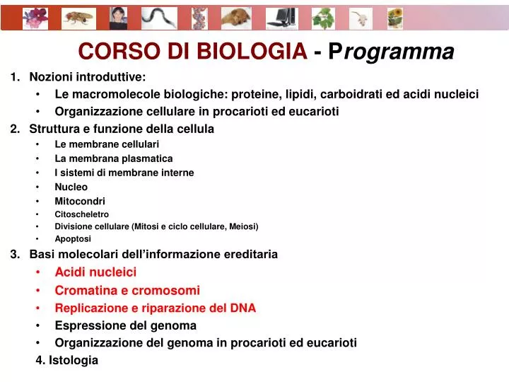 corso di biologia p rogramma