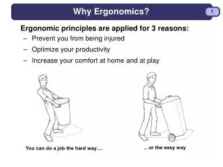 Why Ergonomics?