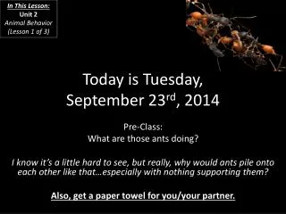 Today is Tuesday, September 23 rd , 2014