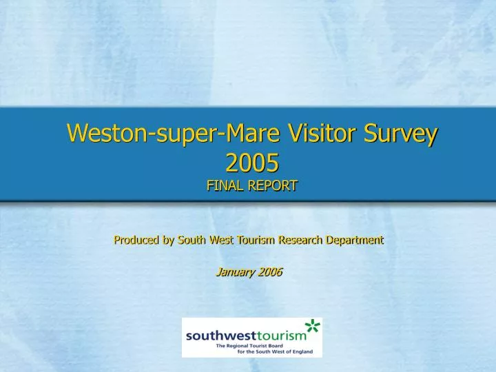 weston super mare visitor survey 2005 final report