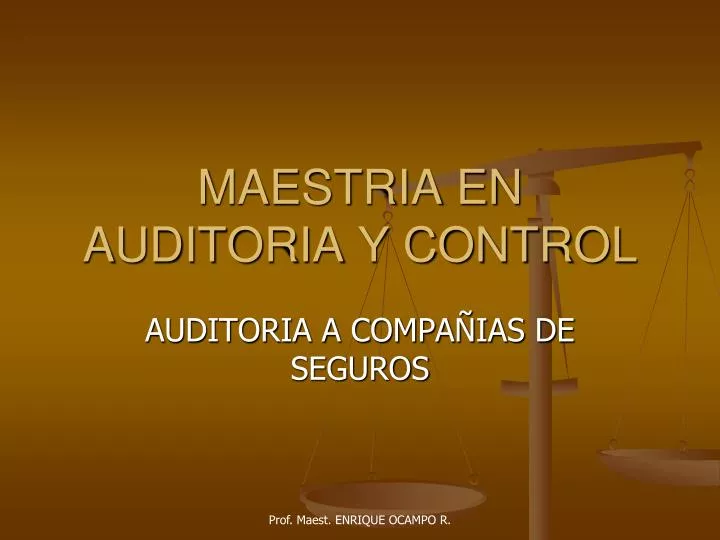 maestria en auditoria y control