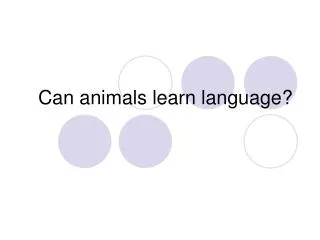 Can animals learn language?