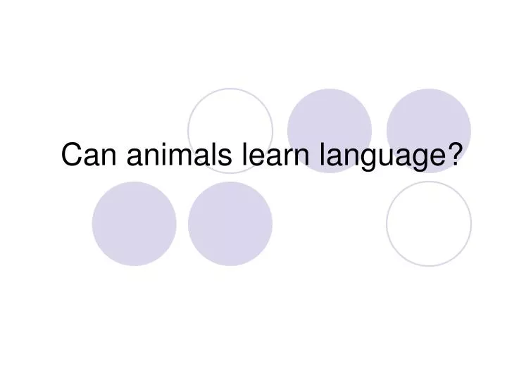 can animals learn language