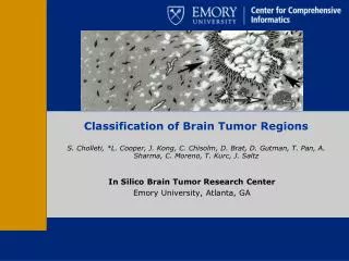 In Silico Brain Tumor Research Center Emory University, Atlanta, GA
