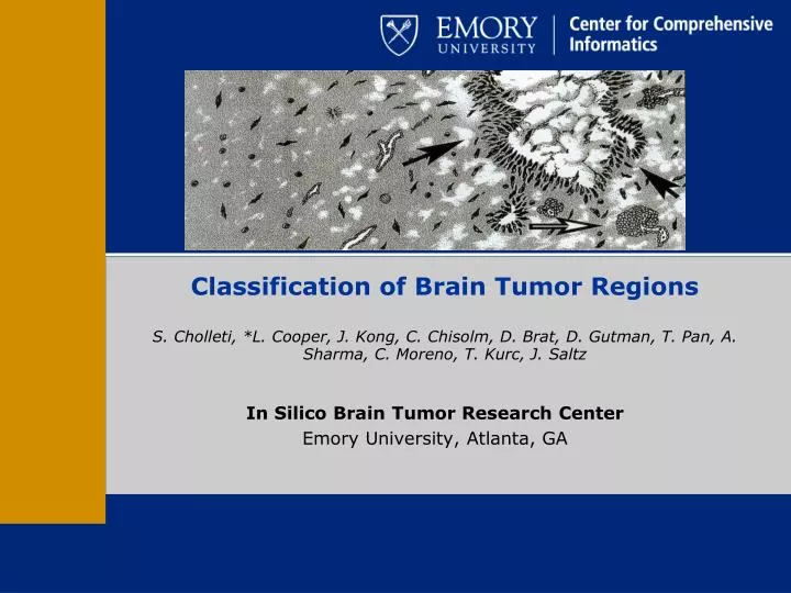 in silico brain tumor research center emory university atlanta ga