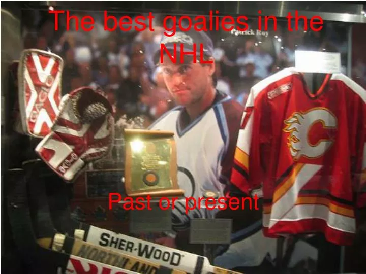 the best goalies in the nhl