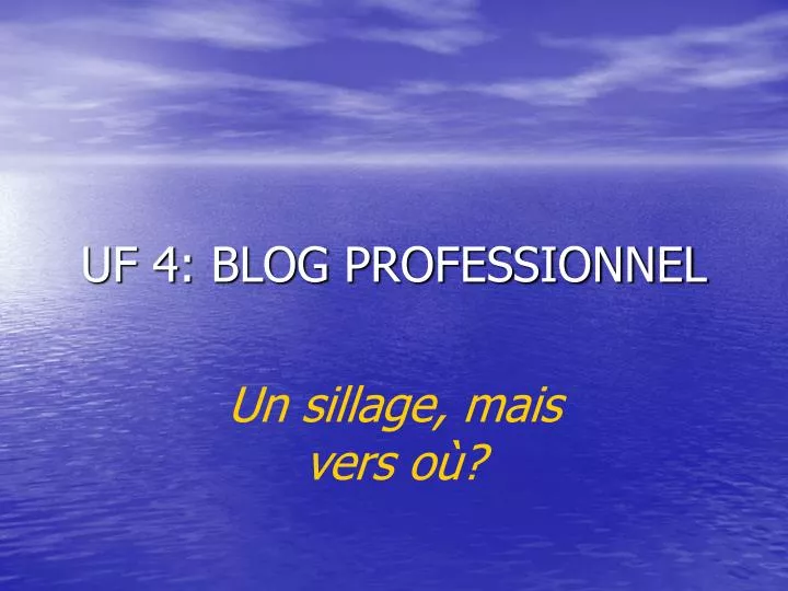 uf 4 blog professionnel