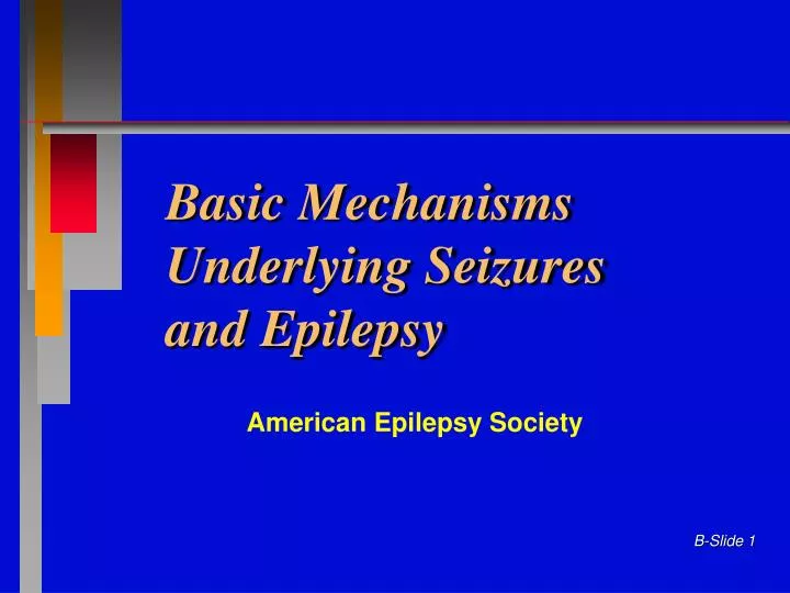 basic mechanisms underlying seizures and epilepsy