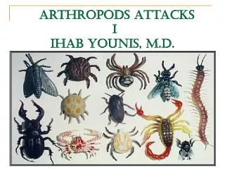 Arthropods Attacks I IHAB YOUNIS, M.D.