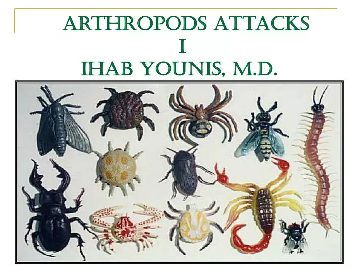 arthropods attacks i ihab younis m d