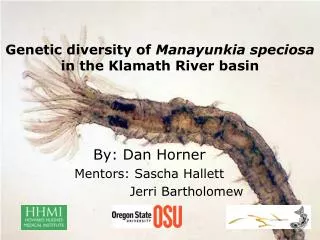 Genetic diversity of Manayunkia speciosa in the Klamath River basin