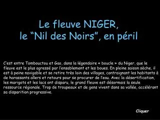 Le fleuve NIGER, le “Nil des Noirs”, en péril