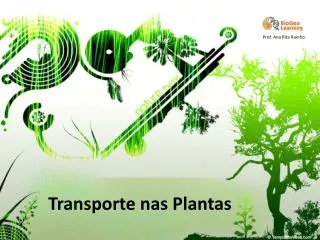 Transporte nas Plantas