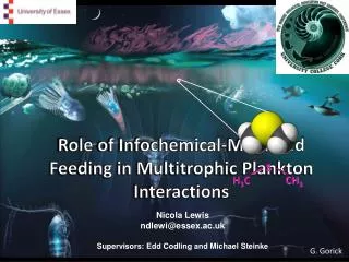 Role of Infochemical-Mediated Feeding in Planktons