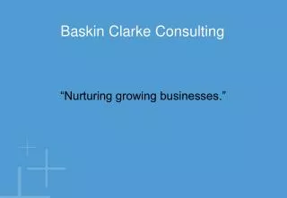 Baskin Clarke Consulting