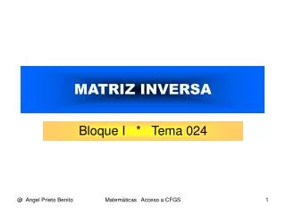 matriz inversa