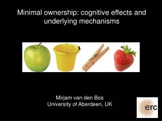 Minimal ownership: cognitive effects and underlying mechanisms