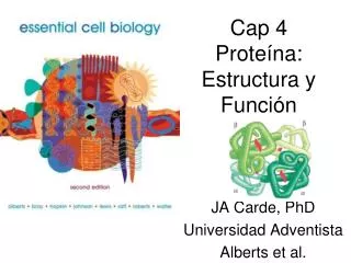 Cap 4 Proteína: Estructura y Función