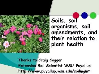 Soils, soil organisms, soil amendments, and their relation to plant health