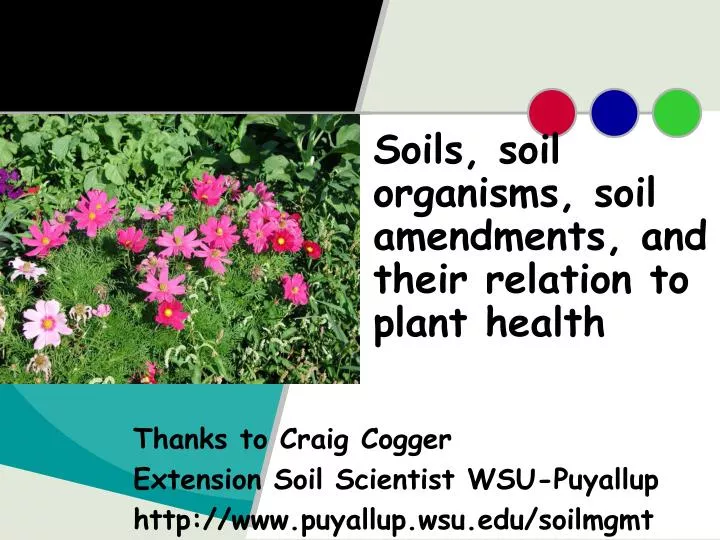 soils soil organisms soil amendments and their relation to plant health